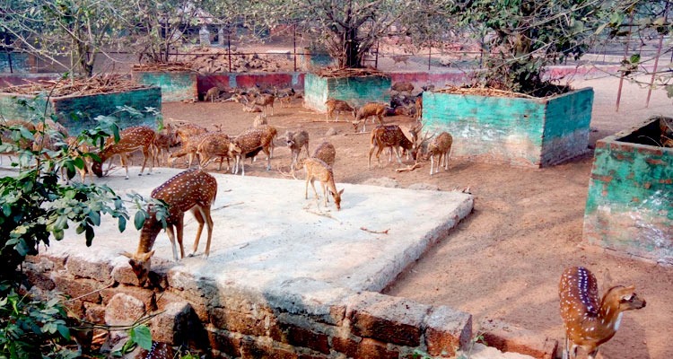 Nandankanan Biological Park –